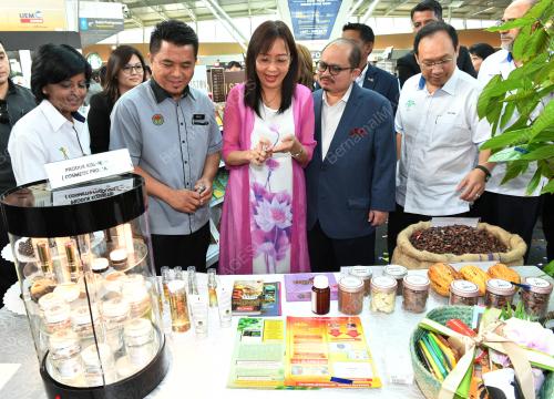 JB13_24062019_PRODUK_KOKO-BN201906232944