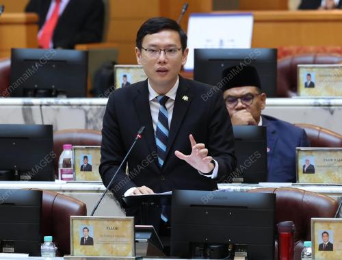 LEE TING HAN