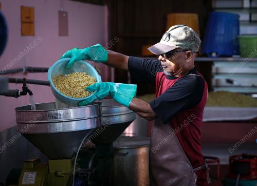USAHAWAN MAKANAN TEMPE