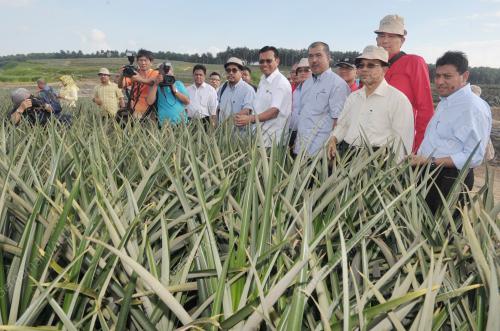 JB14_03032016_NANAS