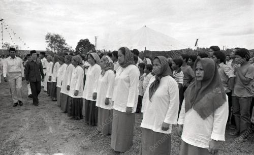 MUSA HITAM