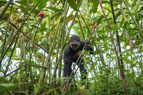 BELANJAWAN 2026 PEKEBUN KECIL
