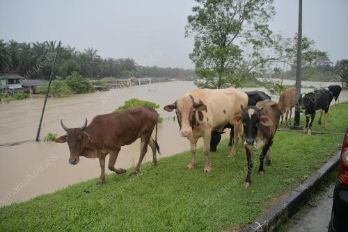 KAMPUNG SEPAKAT BARU