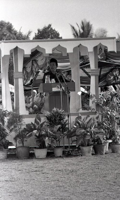 MUSA HITAM