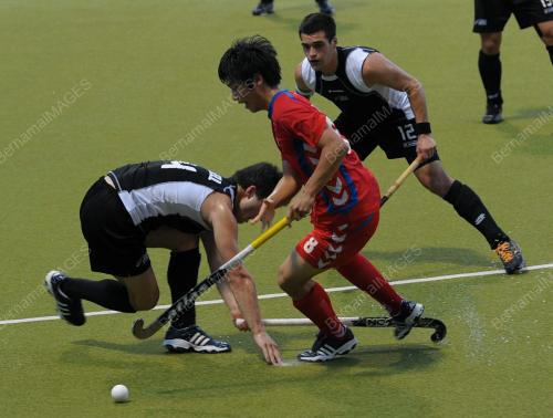 HOKI PIALA SULTAN JOHOR