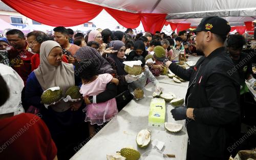 PROGRAM JOM MAKAN DURIAN DENGAN PMX