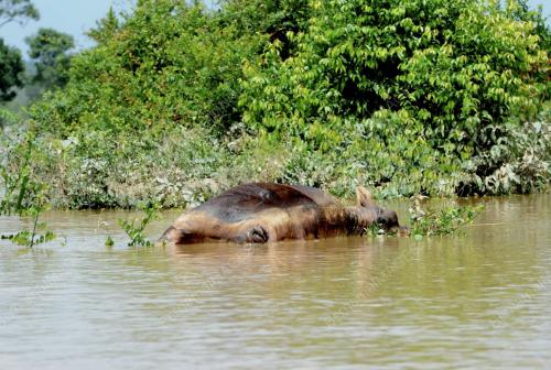JB16_04022011_BANJIR