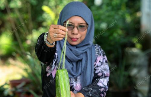 BENANG SERAT NENAS