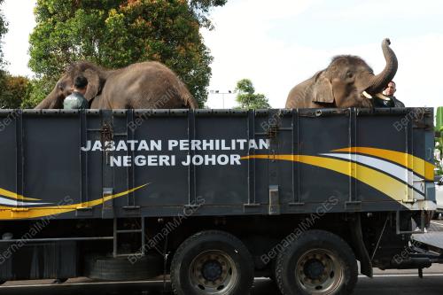 JABATAN PERHILITAN