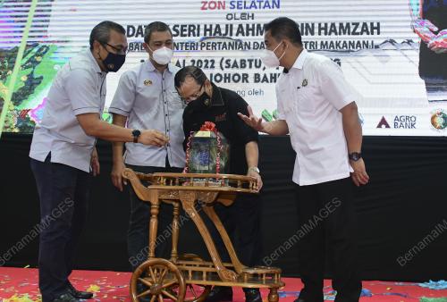 DATUK SERI AHMAD HAMZAH