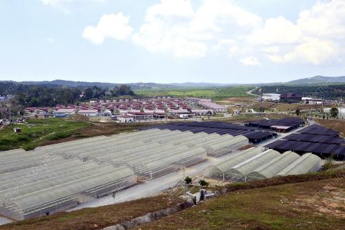 JB16_26062014_FELDA