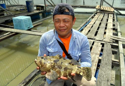 JB17_04112019_PENTERNAK_IKAN_SANGKAR