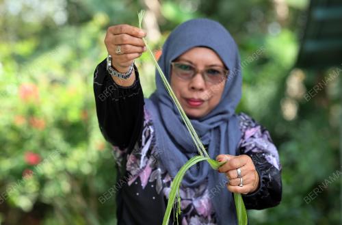 BENANG SERAT NENAS