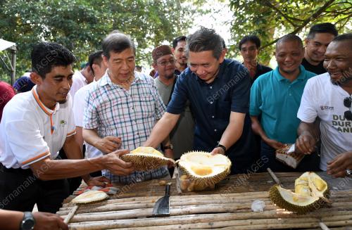 JB18_12082018_DUSUN_DURIAN_LANDAK