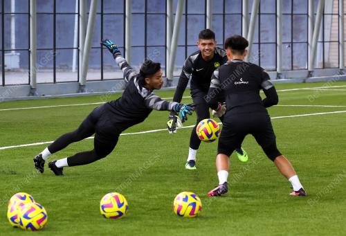 HARIMAU MALAYA LATIHAN 