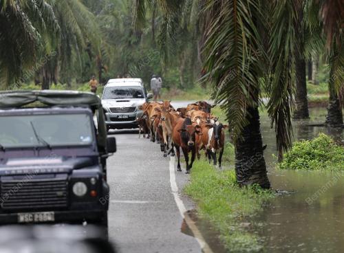 JOHOR_BANJIR