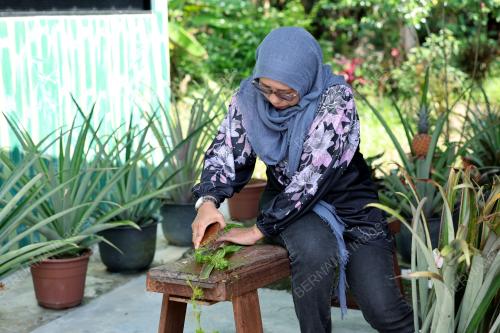 BENANG SERAT NENAS