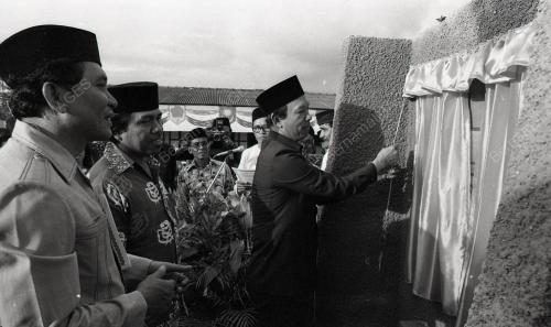 MUSA HITAM