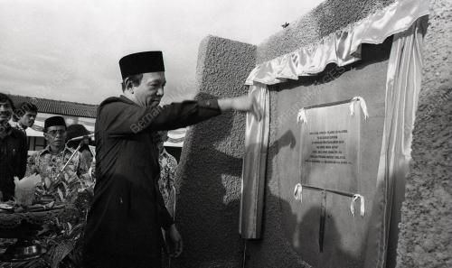 MUSA HITAM