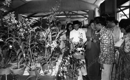 JB26_02032015_SRI_MENANTI