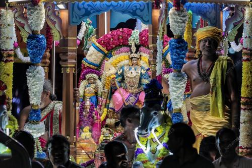 JB27_01022026_THAIPUSAM