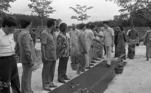 JB29_02032015_MUSA_HITAM