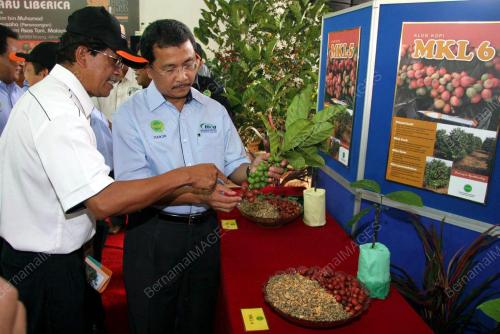 DR ABD SHUKOR ABD RAHMAN