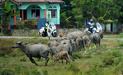 JM07_30062013_JELAJAH
