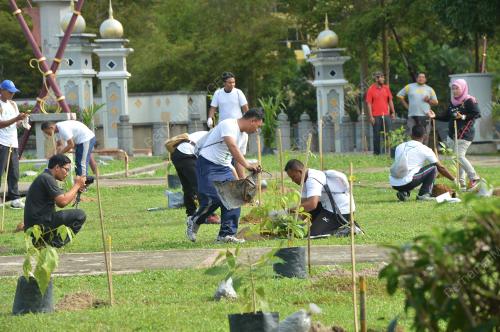 K03_02022017_MB-PROGRAM_TREE_FOR_A_TREE