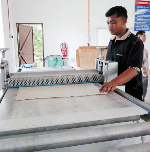 MOHD FAIZAL HAMIRULLAH