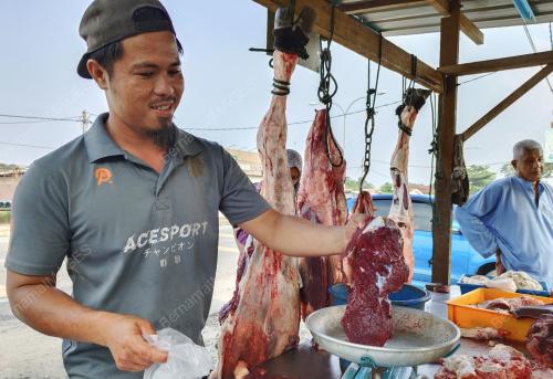 MUHD SHAHRULRAZI FAUZI