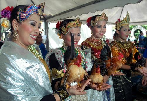 FESTIVAL UNGGAS ANTARABANGSA