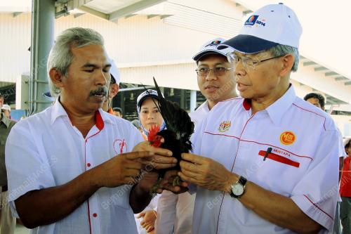 KB01_01052014_PESTA_UNGGAS_AN