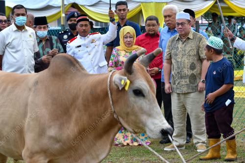 TENGKU DR. MUHAMMAD FAIZ PETRA SULTAN ISMAIL PETRA