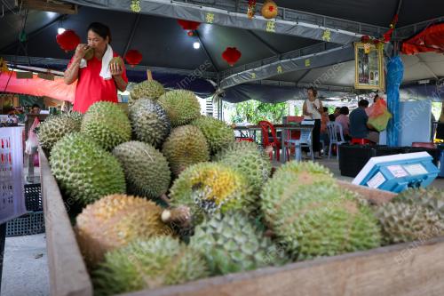 DURIAN_ROSAK