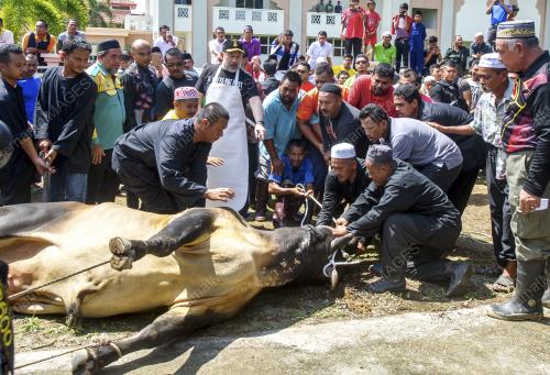 KB01_02092017_KORBAN_BN201708304454