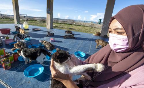 NOR IZYAN SYAHIDA ROSLI