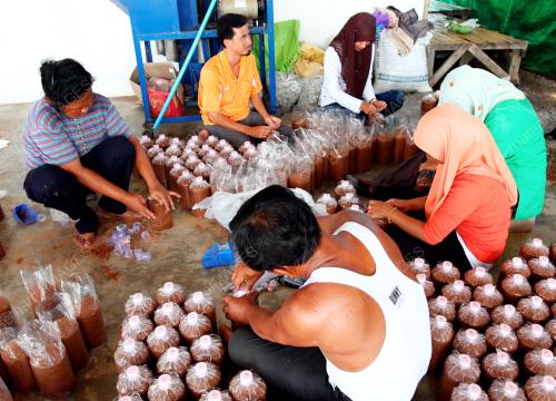 KAMPUNG BUJANG