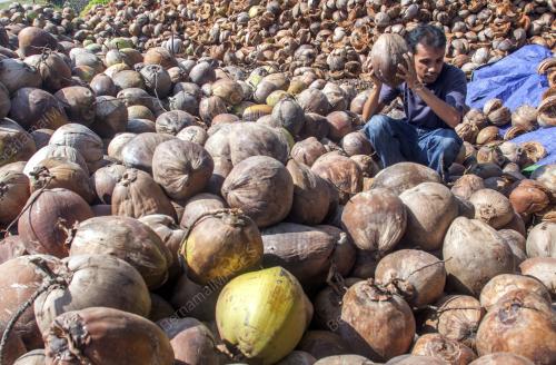 KB01_03072016_BEKALAN_KELAPA