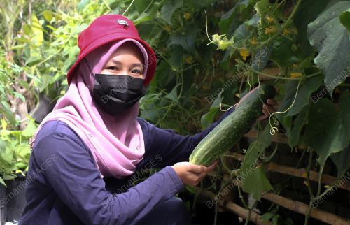 SITI NIK SHAHIRA ABDULLAH