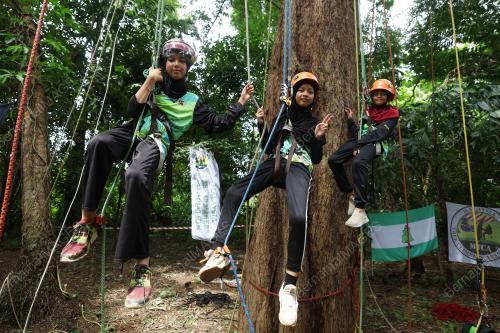 HOBI PANJAT POKOK
