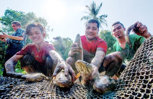 KB01_05042016_IKAN