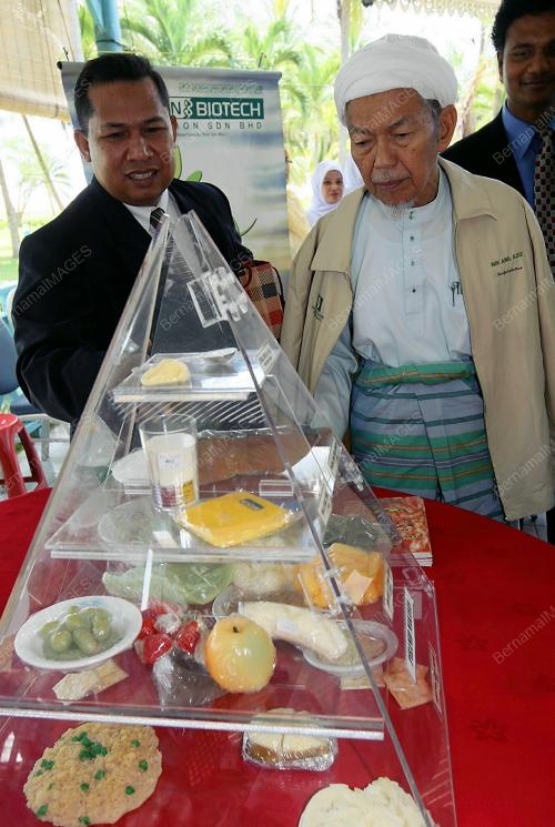 DATUK NIK ABD.AZIZ NIK MAT