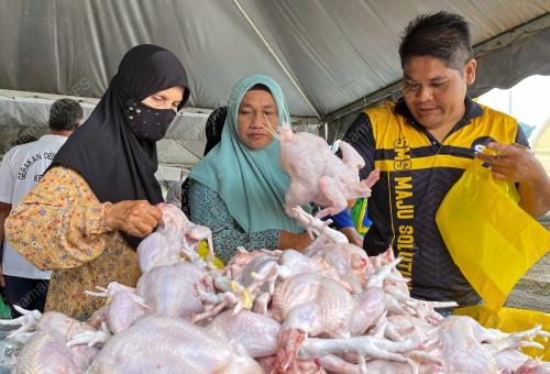JUALAN MURAH