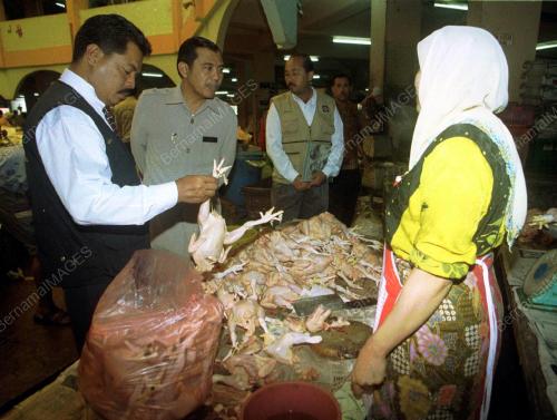 KB01_06012016_HARGA_AYAM