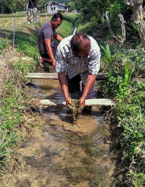 KB01_06032019_KOLAM_IKAN
