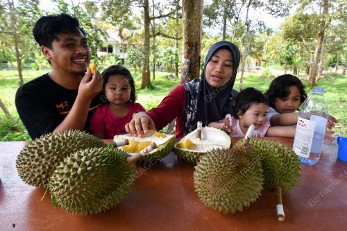 DURIAN KUNYIT