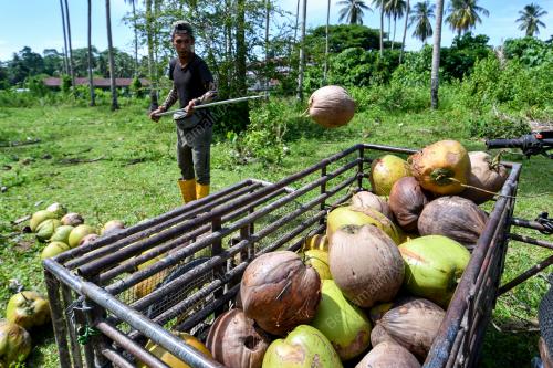 PEMBORONG_KELAPA