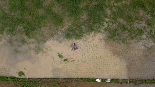 TINJAUAN AKTIVITI PESAWAH KOTA BHARU