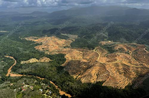PENEROKAAN HUTAN ANCAM ORANG ASLI